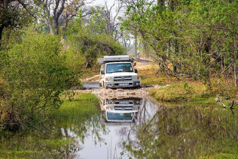 Safari car, off-road car driving through a river, Xakanaxa, Moremi Game Reserve, Botswana