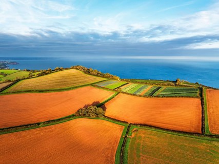 Colours of autumn Fields and Farms over Sheldon from a drone, Torbay, Devon, England, United