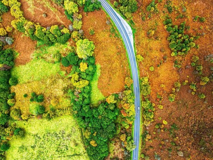 Top Down view of Autumn colours over River Wye and Road A470 from a drone, Llanidloes, Powys,