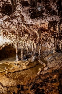 Stalactites and stalagmites, water basins and rock formations in a stalactite cave, Grotta del