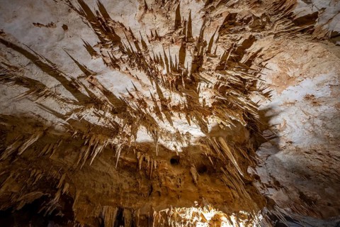 Stalactites and rock formations in a stalactite cave, Grotta del Fico, Gulf of Orosei, Baunei,