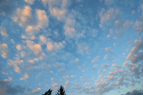 Large fleecy clouds (Altocumulus), Mecklenburg-Vorpommern, Germany