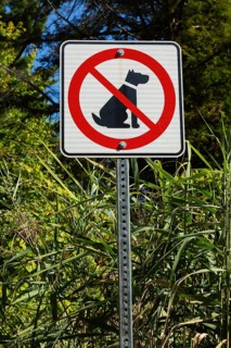 Posted white, red and black pictogram sign warning that dogs are not allowed or forbidden in public