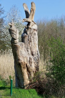 Carved sculpture of a white-tailed eagle (Haliaeetus albicilla) from a tree on the River Peene at