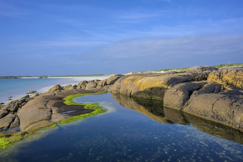 Tide pools with green algae on Gurteen Beach, Roundstone, County Galway, Ireland