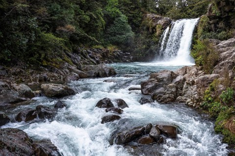 Waterfall Tawhai Falls (Gollum's Pool), location of the film trilogies The Lord of the Rings.