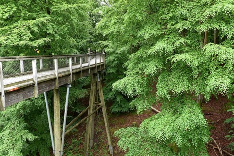 Treetop Trail on Rügen, Natural Heritage Center, Mechlenburg-Vorpommern, Germany