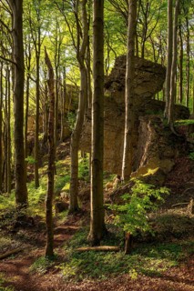 Idyllic deciduous forest surrounds the mighty cliffs of Ith, atmospheric scene in spring,