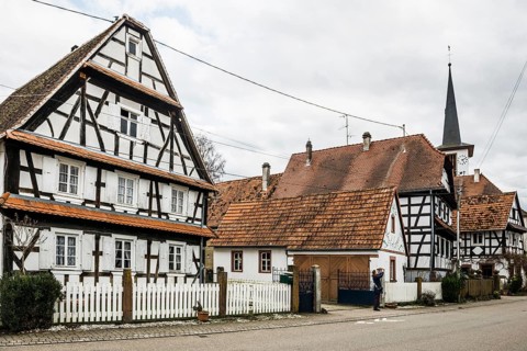 Village made entirely of half-timbered houses, Seebach, Alsace, Bas-Rhin department, France