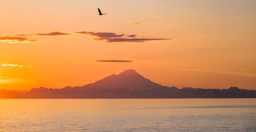 View over Cook Inlet to white mountain peaks of Mount Redoubt, at sunset, picturesque golden light
