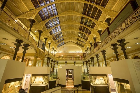 National Museum of Ireland, Dublin, County Dublin, Ireland