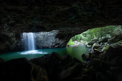 Natural Bridge Springbrook National Park Waterfall in the Basalt Cave, Queensland Gondwana