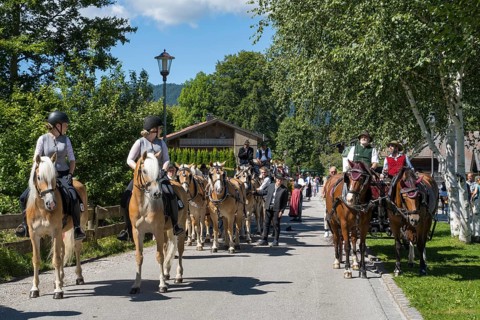 Decorated horses with carriage, horse team, parade at Tegernsee, Rosstag, Rottach-Egern, Upper
