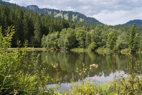 Landscape near Suttensee, wetland, Mangfall Mountains, Rottach-Egern, Upper Bavaria, Bavaria,