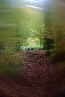 Symbolic picture for tunnel vision and depression, Germany