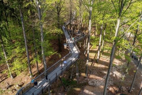 Steigerwald Baupfad Ebrach Germany