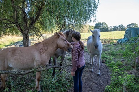 Young girl with her horses in the pasture, Othenstorf, Mecklenburg-Western Pomerania, Germany