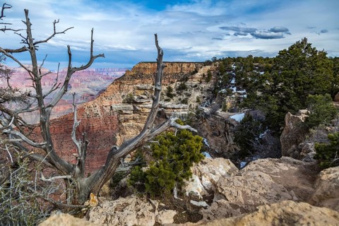 The Grand Canyon in northern Arizona