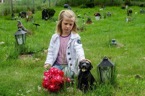 Grieving blonde 7-year-old girl at her dog's grave at pet cemetery in Ystad, Skåne County, Sweden,