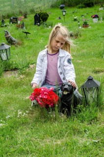 Grieving blonde 7-year-old girl at her dog's grave at pet cemetery in Ystad, Skåne County, Sweden,
