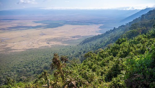 View of Ngorongoro Crater, Crater Viewpoint, Forest and Savanna Landscape, Ngorongoro Conservation
