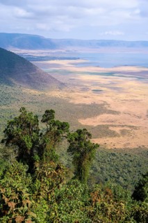 View of Ngorongoro Crater, Crater Viewpoint, Forest and Savanna Landscape, Ngorongoro Conservation