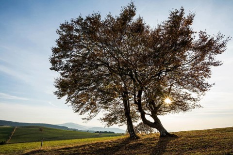 Weather forecast in autumn, sunset, Schauinsland, Freiburg im Breisgau, Black Forest,