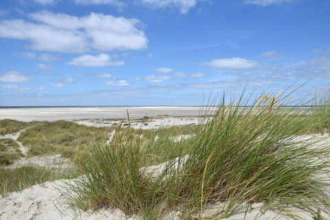 Dune landscape near Sankt Peter-Ording, Westerhever lighthouse, North Sea, Schleswig-Holstein,