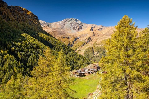 Traditional wooden huts on Alpe near Evolene, Val d'Herens, Canton of Valais, Switzerland