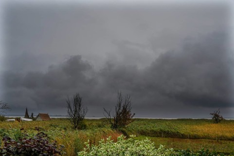 Dark rain clouds (Nimbostratus) over the lagoon, Ahrenshoop, Darß, Mecklenburg-Western Pomerania,