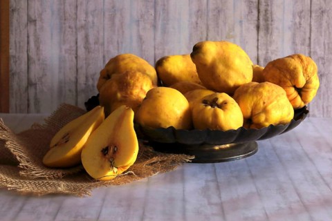 Picturesque still life with quinces, autumn, Germany