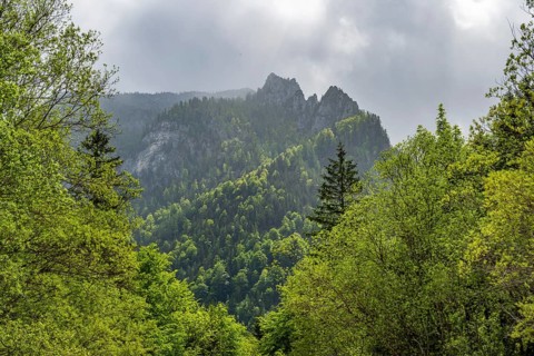 View into the mountains next to Lake Offensee on a rainy day in spring, Salzkammergut, Austria,