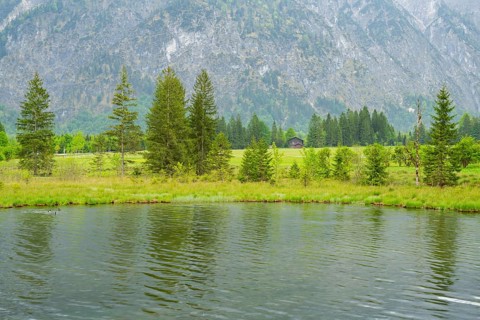 Landscape of Lake Almsee on a rainy day in spring, Salzkammergut, Austria