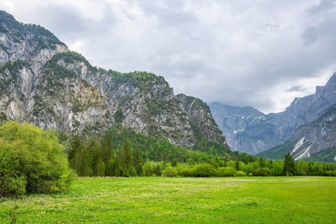 Spring meadow with the Alps in the background on a rainy day, Traunkirchen, Salzkammergut, Austria