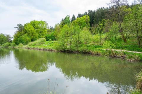 Landscape of a little lake on a cloudy day in spring, Upper Palatinate, Bavaria, Germany
