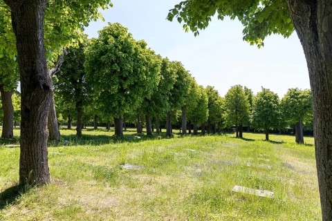 Tombstones on the Gottesacker, the historic cemetery of the Herrnhuter Brüdergemeinde, Herrnhut,