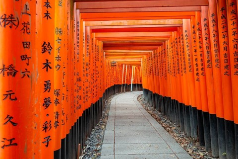 Walk through hundreds of red traditional torii gates, Fushimi Inari Taisha, Shinto Shrine, Fushimi