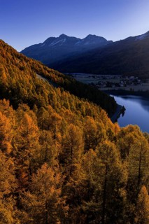 Mountain landscape, mountain lake, larch forest, autumn, autumn color, morning light, sunny, aerial