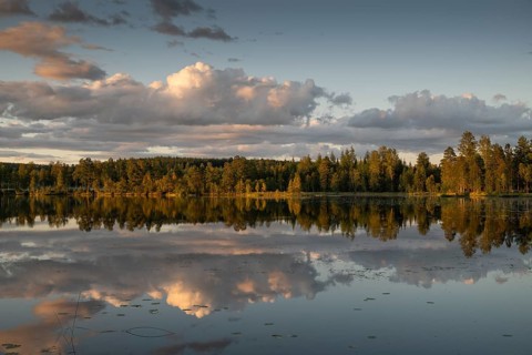Clouds reflected on the water surface, forest lake, evening mood, at Sunne, Sweden