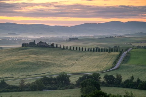 Poggio Covili estate with cypress alley (Cupressus) at sunrise, near San Quirico d'Orcia, Val