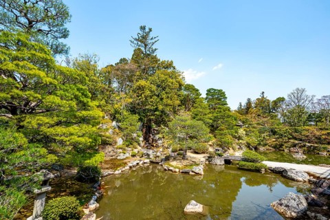 Japanese Garden with Pond, North Garden, Kitaniwa or Hokutei Garden, Ninna-ji Goths, Buddhist