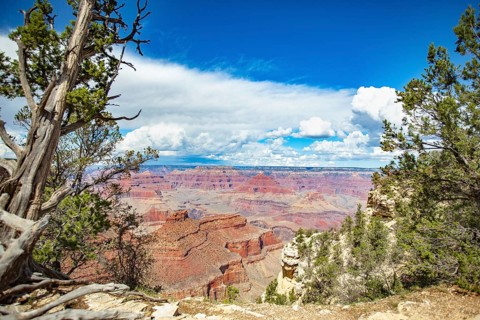 Beautiful landscape of the grand canyon, arizona