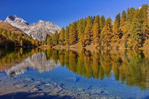 Mountain lake, reflection, mountains, larch forest, autumn discoloration, autumn, sunny, Lake