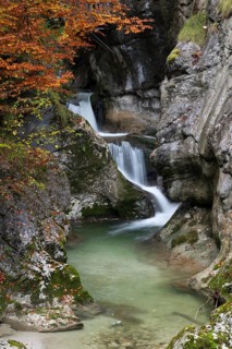 Stream in autumn in the Nothklamm, Gams, Palfau, Hieflau, Styria, Austria