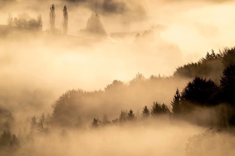 Sunrise, typical landscape in autumn with vineyards and fog, South Styrian hills, South Styrian