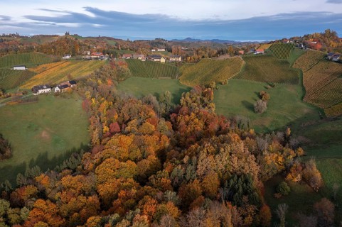 Aerial view, typical landscape in autumn with vineyards, South Styrian hills, South Styrian wine