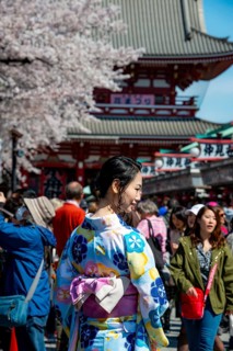Young Japanese woman wearing kimono surrounded by numerous visitors on Nakamise-dori shopping