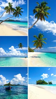 Collage of tropical islands with beach and palm trees, paradise with blue cloudy sky, turquoise