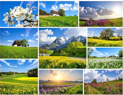 Collage of spring and summer landscapes, blooming flowers, green meadows and trees, hilly landscape