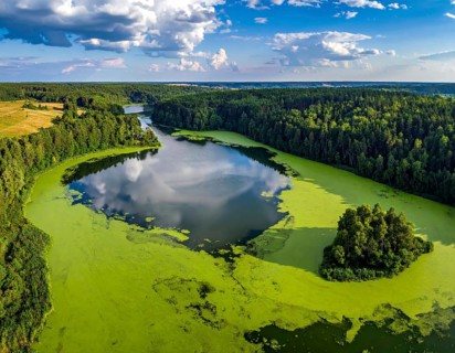 Green algae on the lake. Aerial view of nature, landscape with hills and forest in summer, cloudy